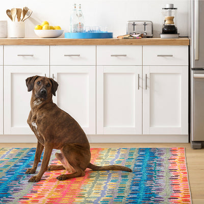 Paint Chip Washable Rug