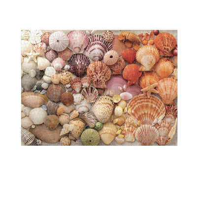 Vibrant Seashells Puzzle