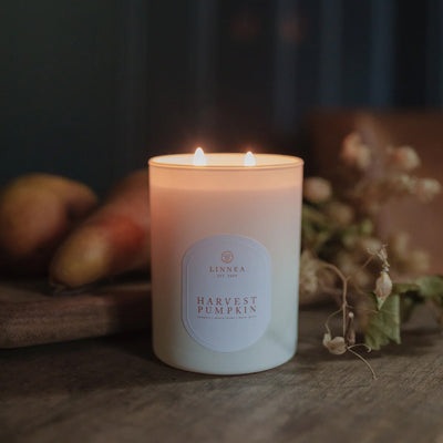 Harvest Pumpkin 2-Wick Candle