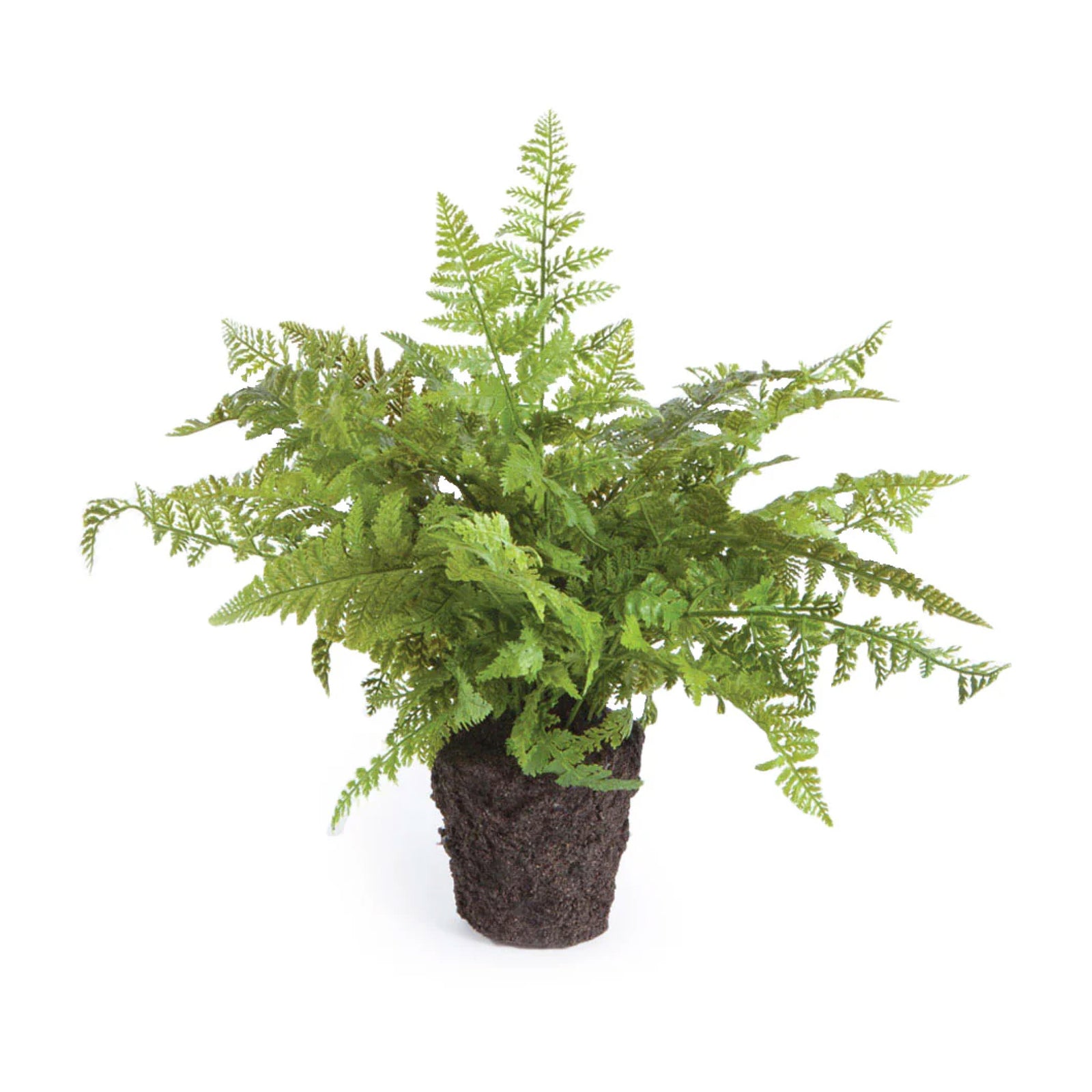 Soft Fern Faux Plant