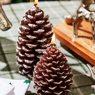 Snowed Pinecone Candle