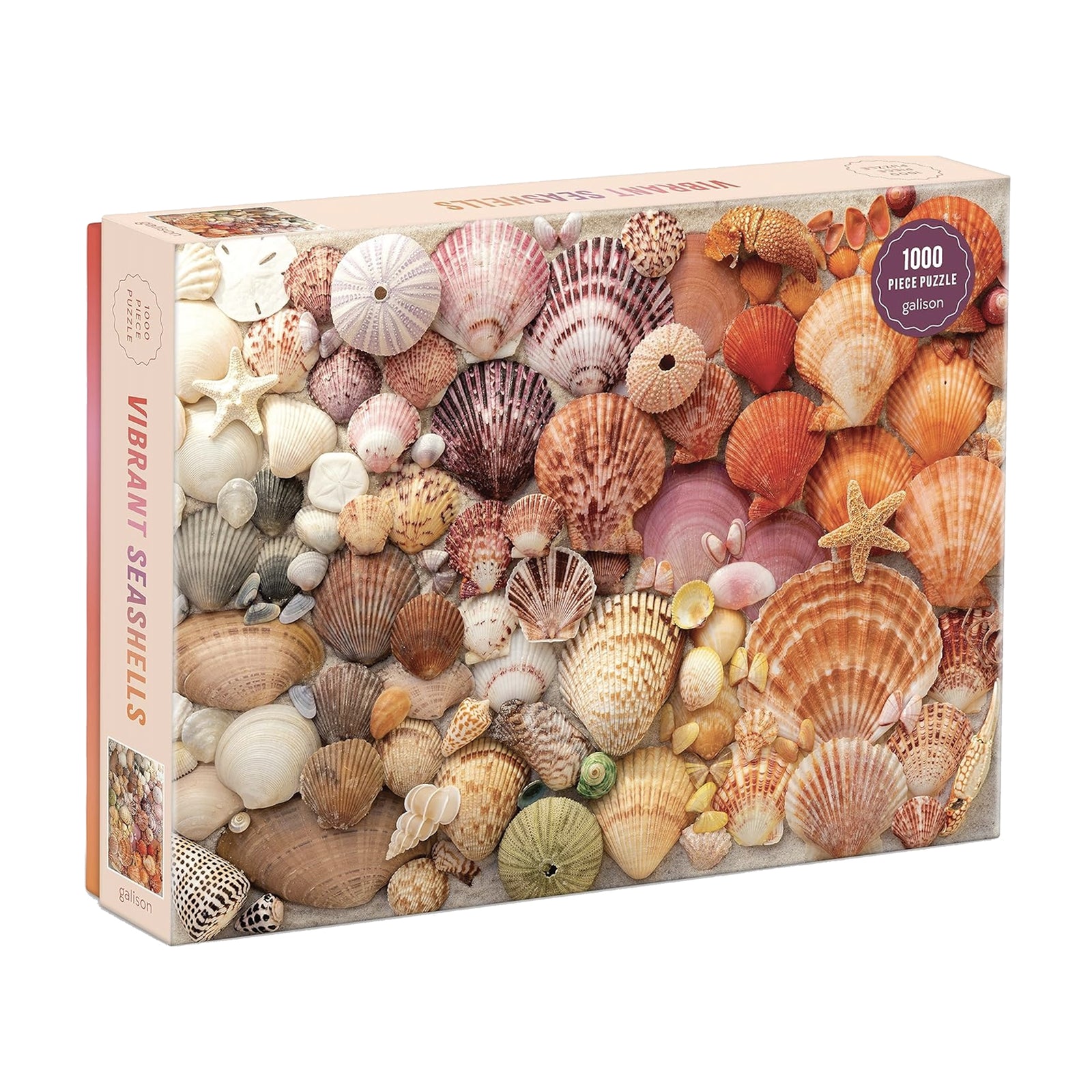 Vibrant Seashells Puzzle