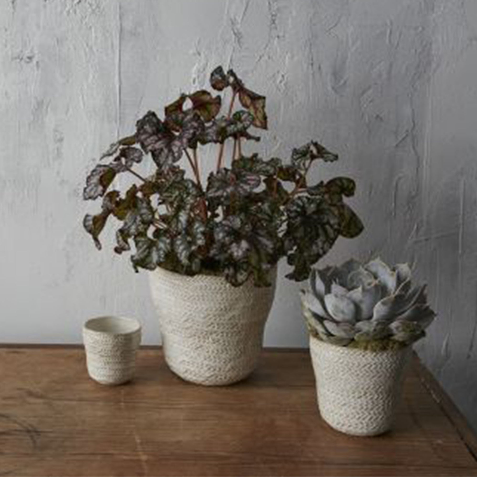 Amstel Pot