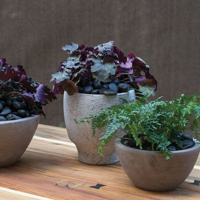 Doja Pot