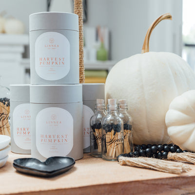 Harvest Pumpkin 2-Wick Candle