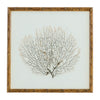 Framed Sea Fan in Natural Faux Bamboo