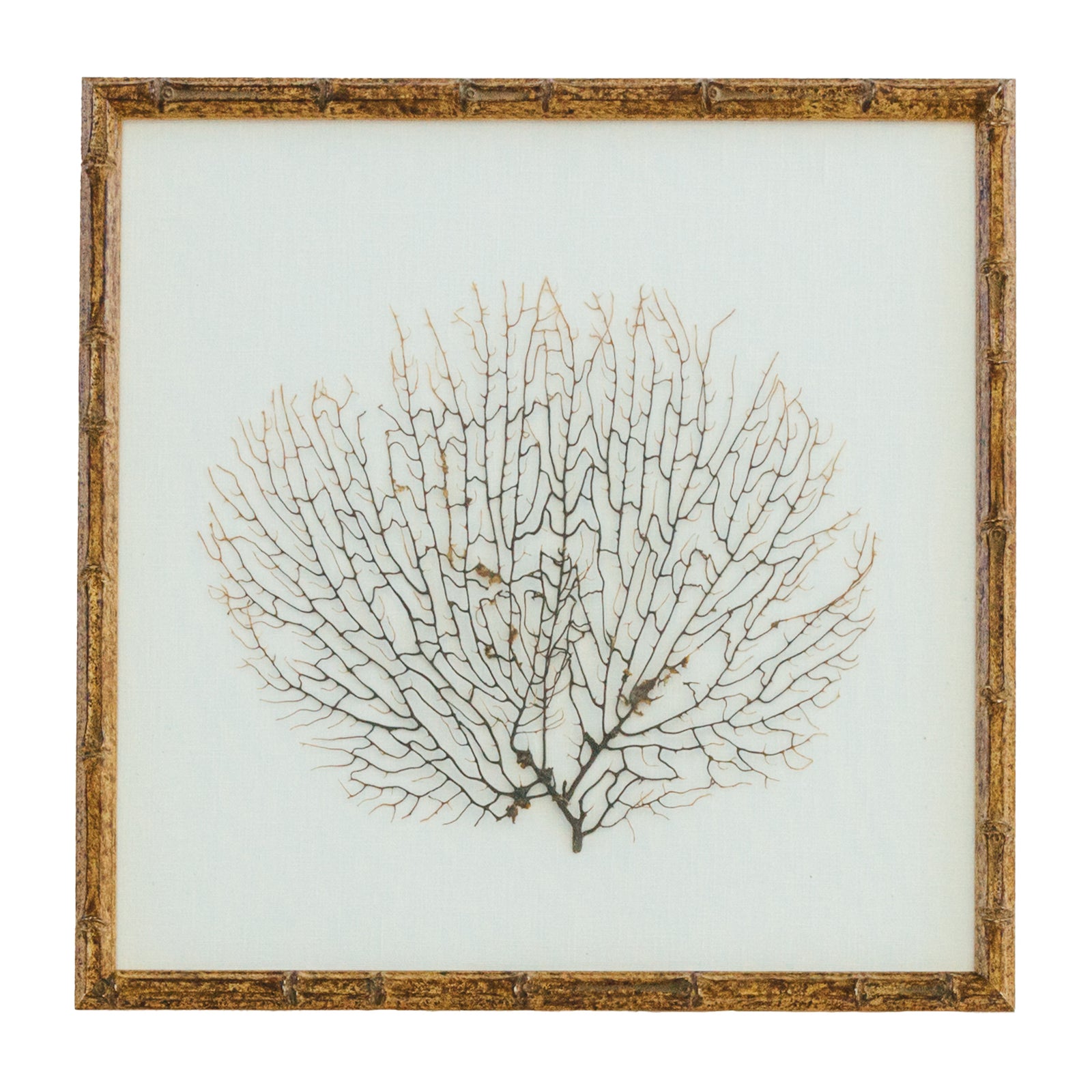 Framed Sea Fan in Natural Faux Bamboo