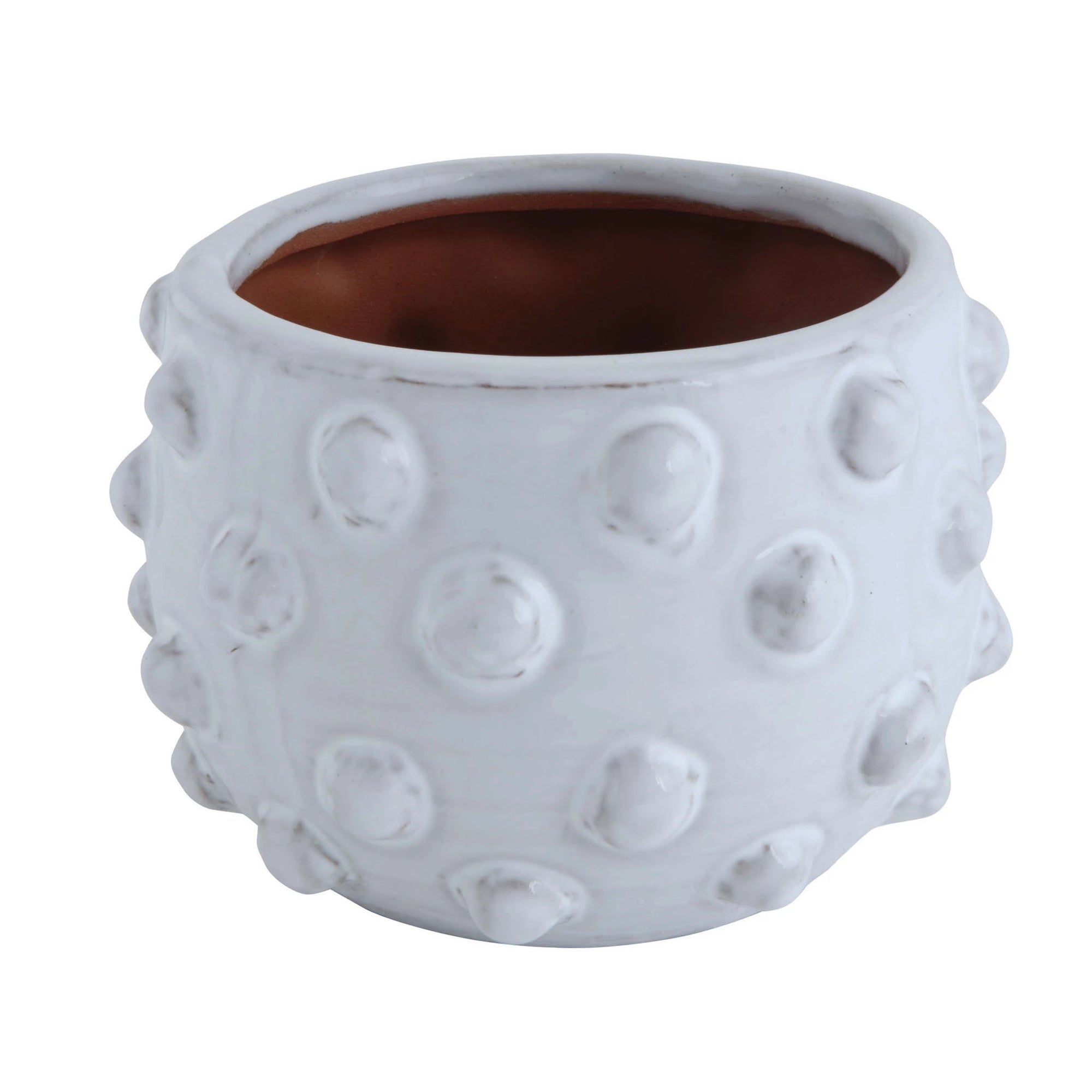 Terracotta Planter with Dots