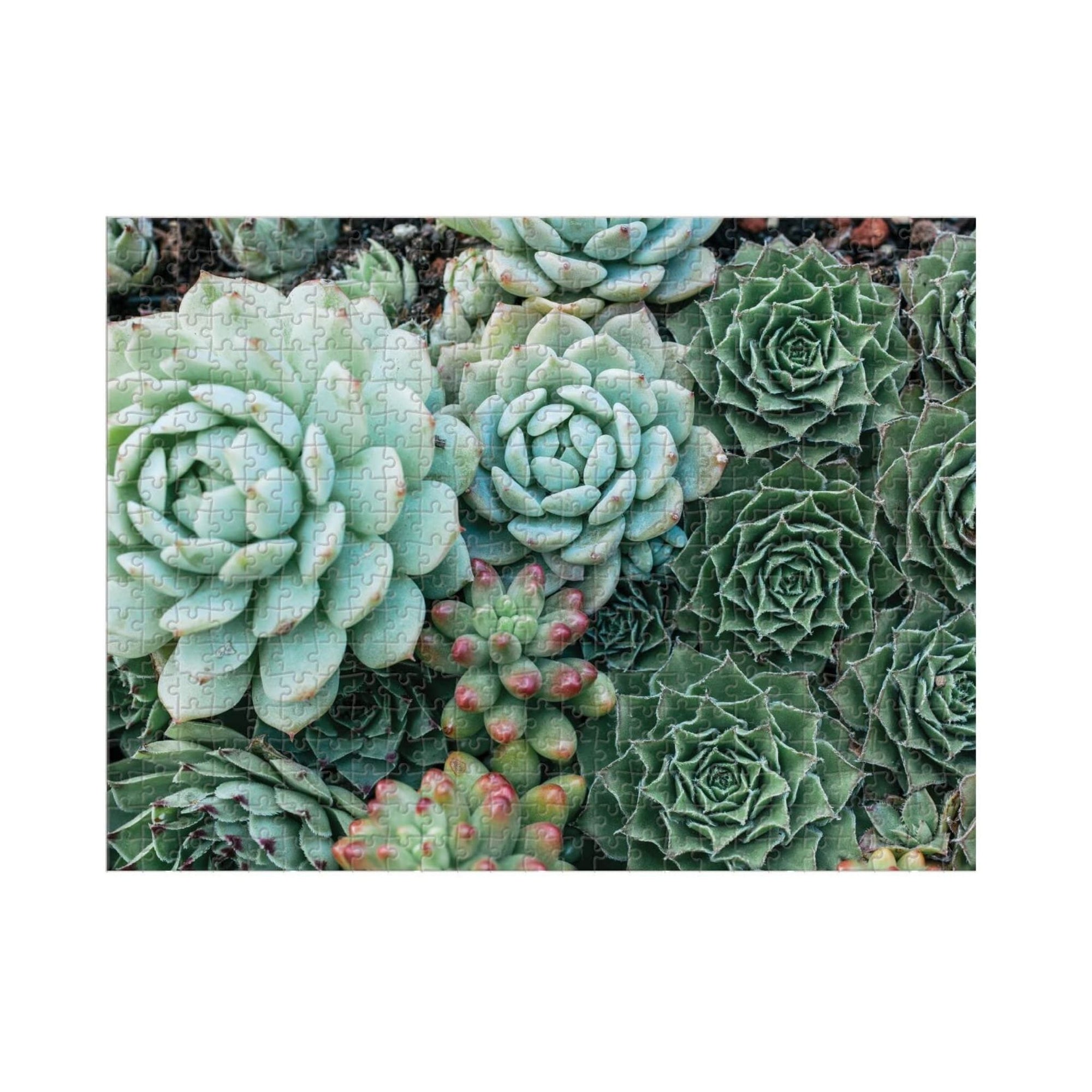 Succulent Garden 2-Sided Puzzle