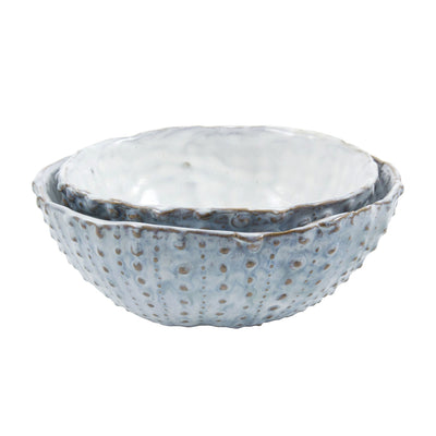 Oceanology Urchin Dish