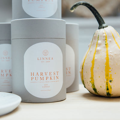 Harvest Pumpkin 2-Wick Candle