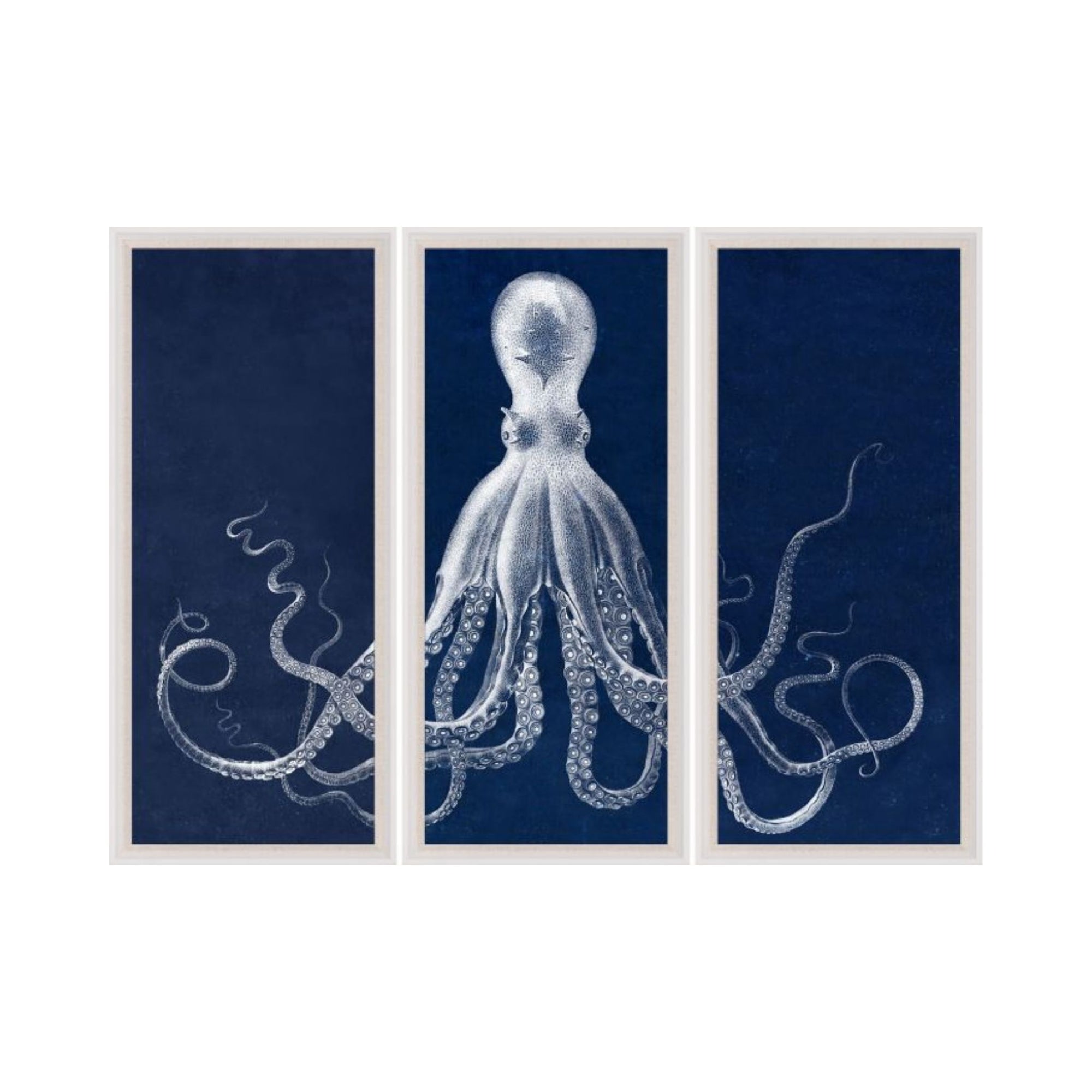 Lord Bodner's Octopus Triptych in Blue
