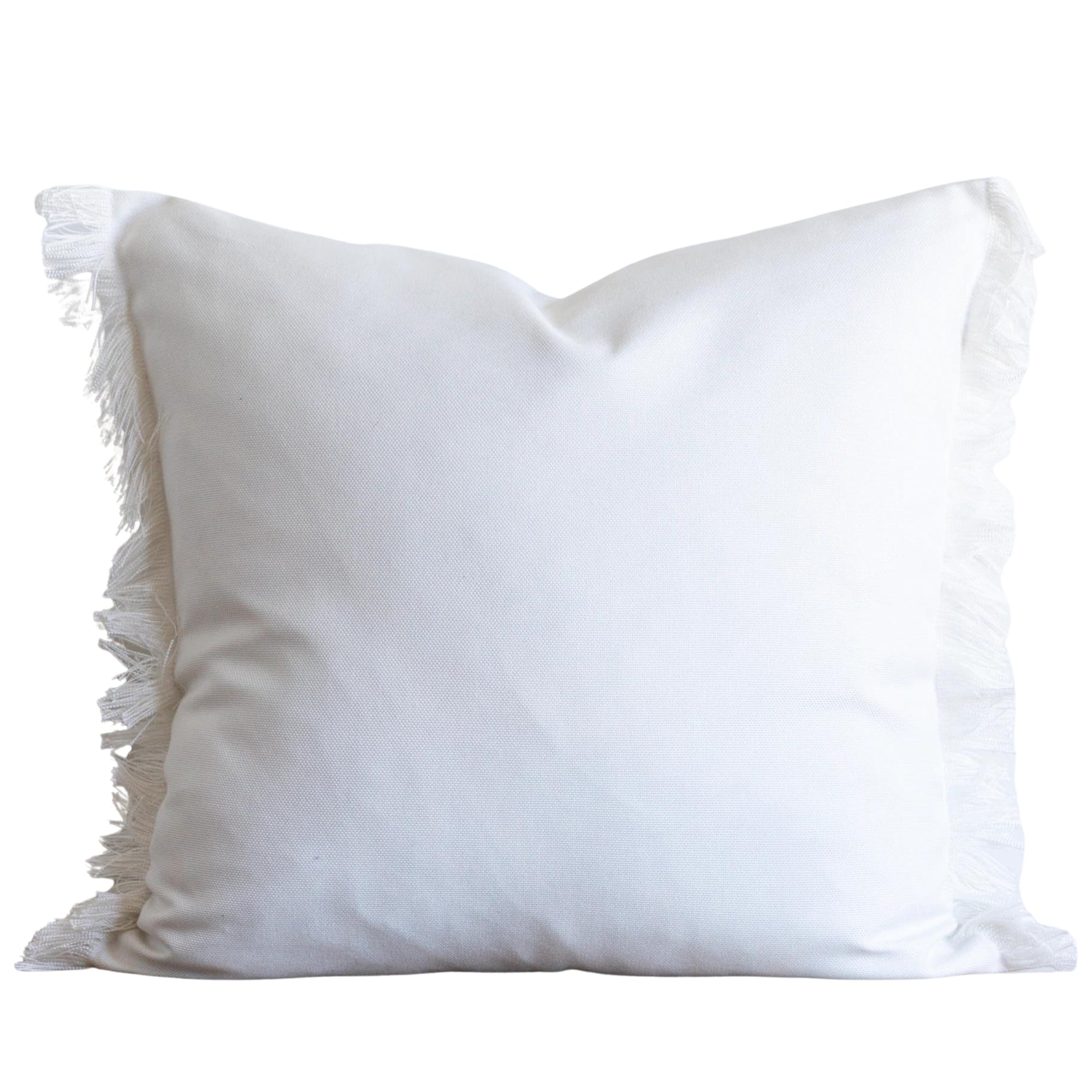 Fringe Outdoor Pillow